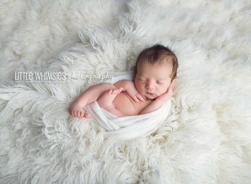 Newborns » Little Whimsies Photography